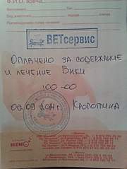 453 X 604 50.9 Kb Кошки в стационаре Ветсервиса. Нужна материальная помощь!