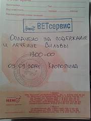 453 X 604 50.6 Kb Кошки в стационаре Ветсервиса. Нужна материальная помощь!