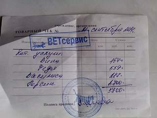 604 X 453 53.1 Kb Кошки в стационаре Ветсервиса. Нужна материальная помощь!