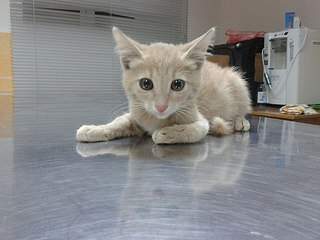 604 X 453  44.0 Kb       ,  -!