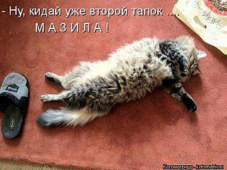 750 X 562  78.1 Kb  !