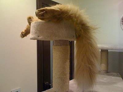 1024 X 768 137.7 Kb  !