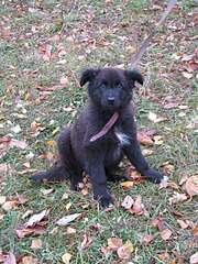 1920 X 2560 717.1 Kb    ()