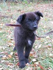 1920 X 2560 509.8 Kb 1920 X 2560 405.8 Kb 1920 X 2560 717.1 Kb    ()