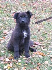 1920 X 2560 619.2 Kb 1920 X 2560 509.8 Kb 1920 X 2560 405.8 Kb 1920 X 2560 717.1 Kb    ()