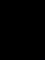 1920 X 2560 409.6 Kb  , , , .  ,  .