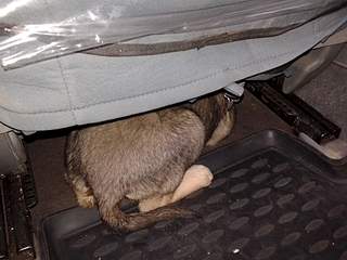 1920 X 1440 195.4 Kb      -2 !