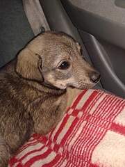 1920 X 2560 400.0 Kb      -2 !