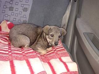 1920 X 1440 182.6 Kb      -2 !