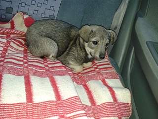 1920 X 1440 255.5 Kb 1920 X 1440 321.5 Kb      -2 !