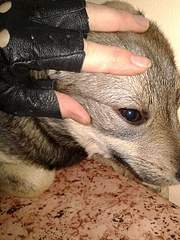 1920 X 2560 539.1 Kb 1920 X 1440 255.5 Kb 1920 X 1440 321.5 Kb      -2 !