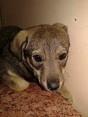 1920 X 2560 378.7 Kb 1920 X 2560 539.1 Kb 1920 X 1440 255.5 Kb 1920 X 1440 321.5 Kb      -2 !