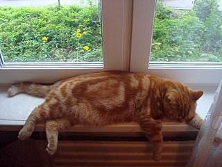 1280 X 960 344.8 Kb  !