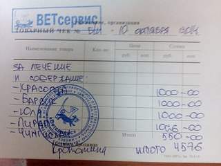 604 X 453 50.3 Kb Кошки в стационаре Ветсервиса. Нужна материальная помощь!