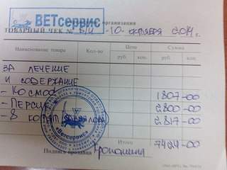 604 X 453 48.2 Kb Кошки в стационаре Ветсервиса. Нужна материальная помощь!