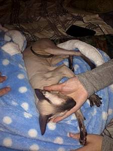 1920 X 2560 913.2 Kb 1920 X 2560 907.5 Kb   