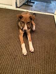 1920 X 2560 1000.7 Kb    