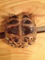 1920 X 2560 411.5 Kb Срочно!Помогите советом!