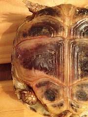 1920 X 2560 450.8 Kb 1920 X 2560 411.5 Kb ! !