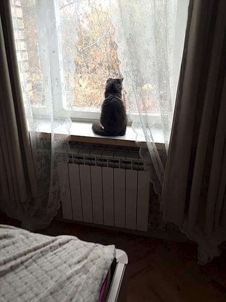 453 X 604 43.7 Kb 453 X 604 66.3 Kb 1224 X 1632 276.6 Kb   -  .