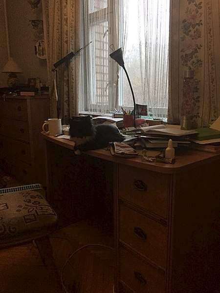 453 X 604 41.8 Kb   -  .