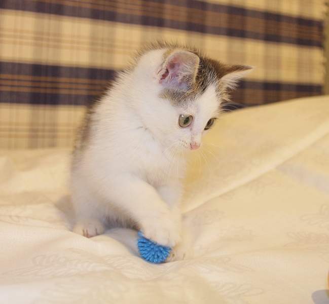 1920 X 1774 780.8 Kb    .