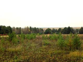 1024 X 768 262.4 Kb 1024 X 768 399.1 Kb  / 34   ., -+, , 