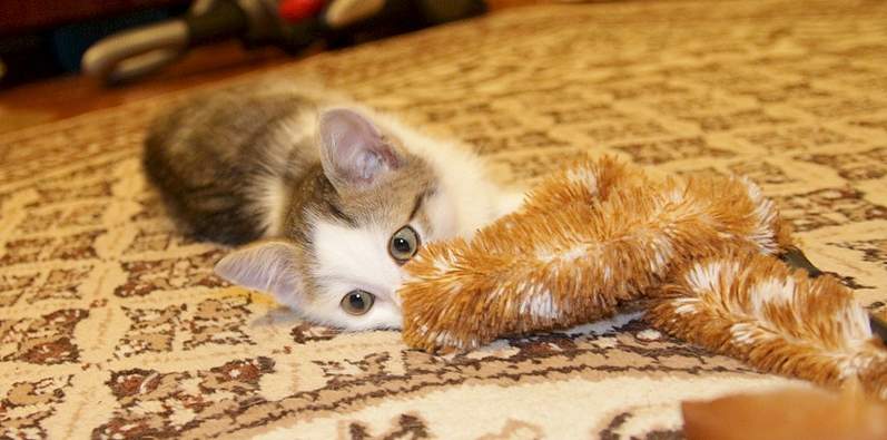 1920 X 950 664.0 Kb    .