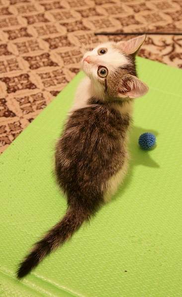 1920 X 3141 326.3 Kb    .