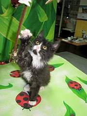 1920 X 2560 959.6 Kb 1920 X 2560 322.9 Kb        