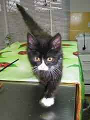 1920 X 2560 864.0 Kb 1920 X 2560 974.1 Kb 1920 X 2560 959.6 Kb 1920 X 2560 322.9 Kb        