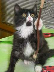 1920 X 2560 769.2 Kb 1920 X 2560 962.1 Kb        