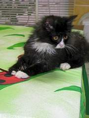 1920 X 2560 868.9 Kb 1920 X 2560 800.3 Kb 1920 X 2560 769.2 Kb 1920 X 2560 962.1 Kb        