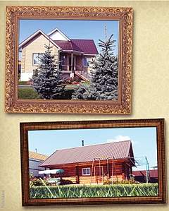 569 X 709 326.5 Kb     . .