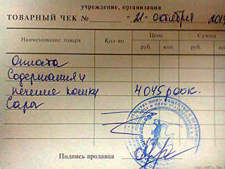 640 X 480 51.2 Kb Кошки в стационаре Ветсервиса. Нужна материальная помощь!