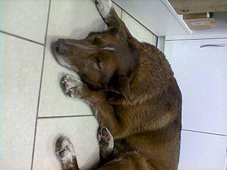 1600 X 1200 220.7 Kb 1600 X 1200 200.0 Kb    !