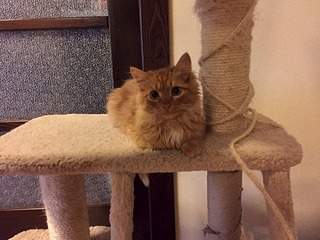 1920 X 1440 689.9 Kb     !