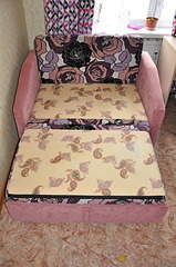 1920 X 2890 419.6 Kb   