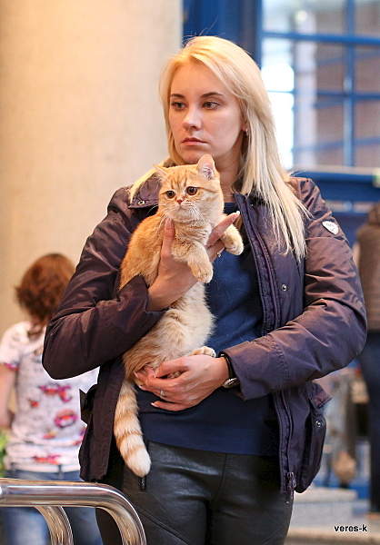 836 X 1200 511.3 Kb 18-19  2014 ,  .  '.RU'