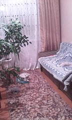 768 X 1280 216.9 Kb 768 X 1280 208.9 Kb 768 X 1280 183.4 Kb 1280 X 768 161.0 Kb 1280 X 768 170.7 Kb Трешка в Алнашском районе