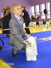 479 X 640 54.8 Kb Китайская-хохлатая куколка- Габи и ее детки!