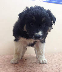 1920 X 2240 693.9 Kb 1920 X 2001 960.5 Kb 1920 X 2348 982.9 Kb 1920 X 1355 554.0 Kb   