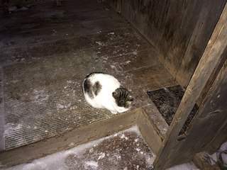 604 X 453  64.8 Kb -  