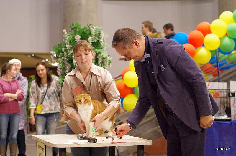 1200 X 795 777.7 Kb 1200 X 795 644.4 Kb 18-19  2014 ,  .  '.RU'