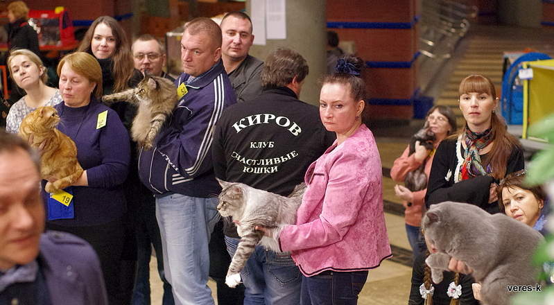 1200 X 661 708.4 Kb 18-19  2014 ,  .  '.RU'