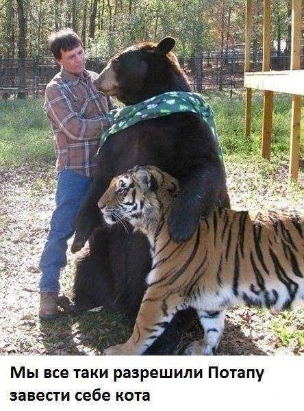 444 x 600 Улыбнемся?