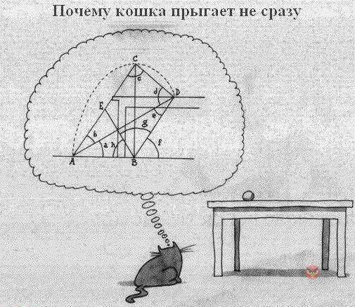 505 x 437 Улыбнемся?