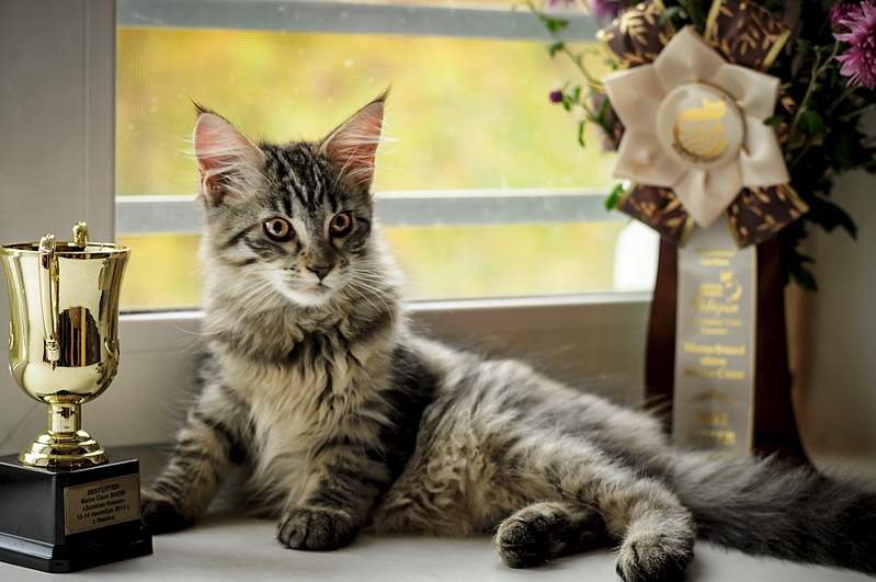 1920 X 1275 992.9 Kb -  