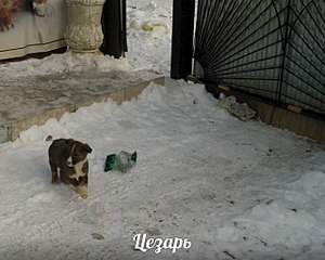 1280 X 1024 213.3 Kb SOS   ,     