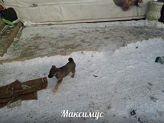 1280 X 960 211.2 Kb 1280 X 1024 213.3 Kb SOS   ,     